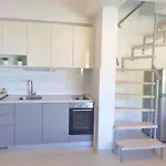 House - Ana Duće