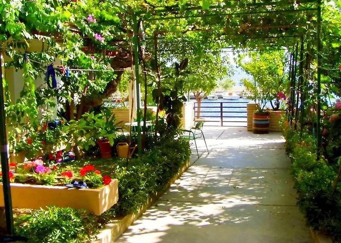 House - Ana شقة Duće